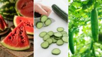 Don’t ignore the summer drain! 3 rules for safe postpartum recovery in a heatwave