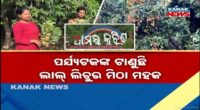 BJP National President Nitin Naveen Arrives in Bhubaneswar