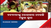 🔴 LIVE || ରାତି ୧୦ଟାର ବଡ଼ ଖବର || 10PM Breaking News || Odisha  || Odia News || Kanak News