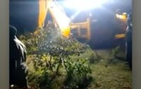 Gupteswar Forest Dying? Mafia Looting Odisha’s Invaluable Nature Treasure!