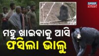 ସିନ୍ଧୁ ଜଳ ଚୁକ୍ତିନାମା ଉପରେ ବେଆଇନ ଭାବେ ଗଠିତ  ଅନ୍ତର୍ଜାତୀୟ ନ୍ୟାୟାଳୟର ରାୟକୁ ପ୍ରତ୍ୟାଖ୍ୟାନ କଲା ଭାରତ