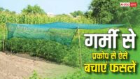 ‘Operation Prahar’ returns: Commissionerate Police launch fresh drive against illegal intoxicant trade