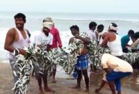 ଉତ୍ତରପ୍ରଦେଶରେ ପାରା ପହଞ୍ଚିଲା ୪୫ ଡିଗ୍ରି ସେଲସିୟସ୍