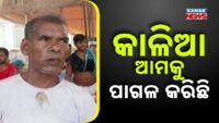 🔴 LIVE | ଅପରାହ୍ଣ ୫ଟାର ବଡ଼ ଖବର | 5PM Bulletin | Breaking News | Odia News | Kanak News