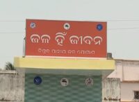 Scattered bones, unanswered questions: Human skeleton found in cashew forest in Odisha