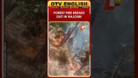 Massive Forest Fire In Solan Himachal Pradesh