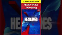 Special Report: Who Is Funding Rahul Gandhi’s Foreign Tours? BJP Demands Investigation Into Expenses