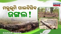 ଭୟଙ୍କର ସଡ଼କ ଦୁର୍ଘଟଣା , ବାଇକ ଚାଳକଙ୍କ ମୃତ୍ୟୁ