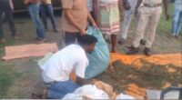 ନେଦରଲ୍ୟାଣ୍ଡରେ ପ୍ରଧାନମନ୍ତ୍ରୀ : ରାଜା ୱିଲେମଙ୍କ ସହ ଶିଖର ଆଲୋଚନା,ସୁରିନାମିଜ୍ ହିନ୍ଦୁସ୍ତାନୀ-ପ୍ରବାସୀ ଭାରତୀୟଙ୍କୁ କରିବେ ସମ୍ବୋଧିତ