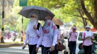 ANRF launches interdisciplinary research push, picks 10 institutions for elite CoE programme