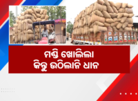 Fuel Crisis Hits Odisha! Buses Stop Running in Rourkela