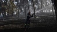 What are US and Japanese soldiers doing in the middle of the Australian bush?